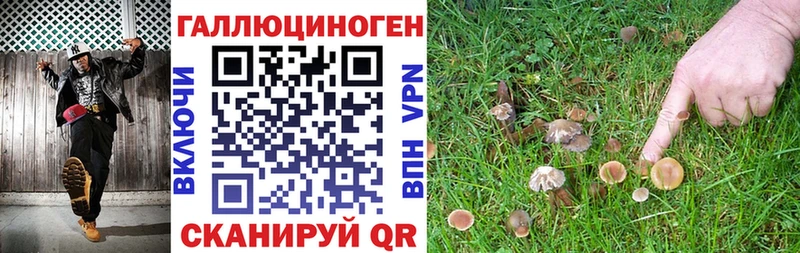 Псилоцибиновые грибы Psilocybine cubensis  Новомосковск 