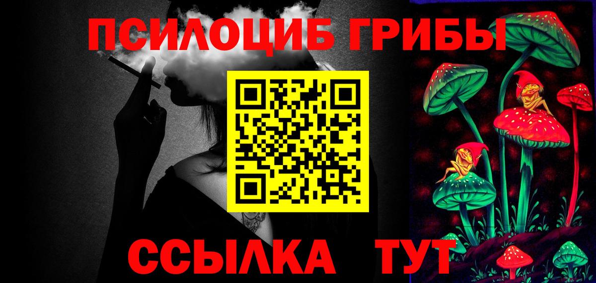 Галлюциногенные грибы Psilocybine cubensis  Вход с VPN  наркотики  Новомосковск 